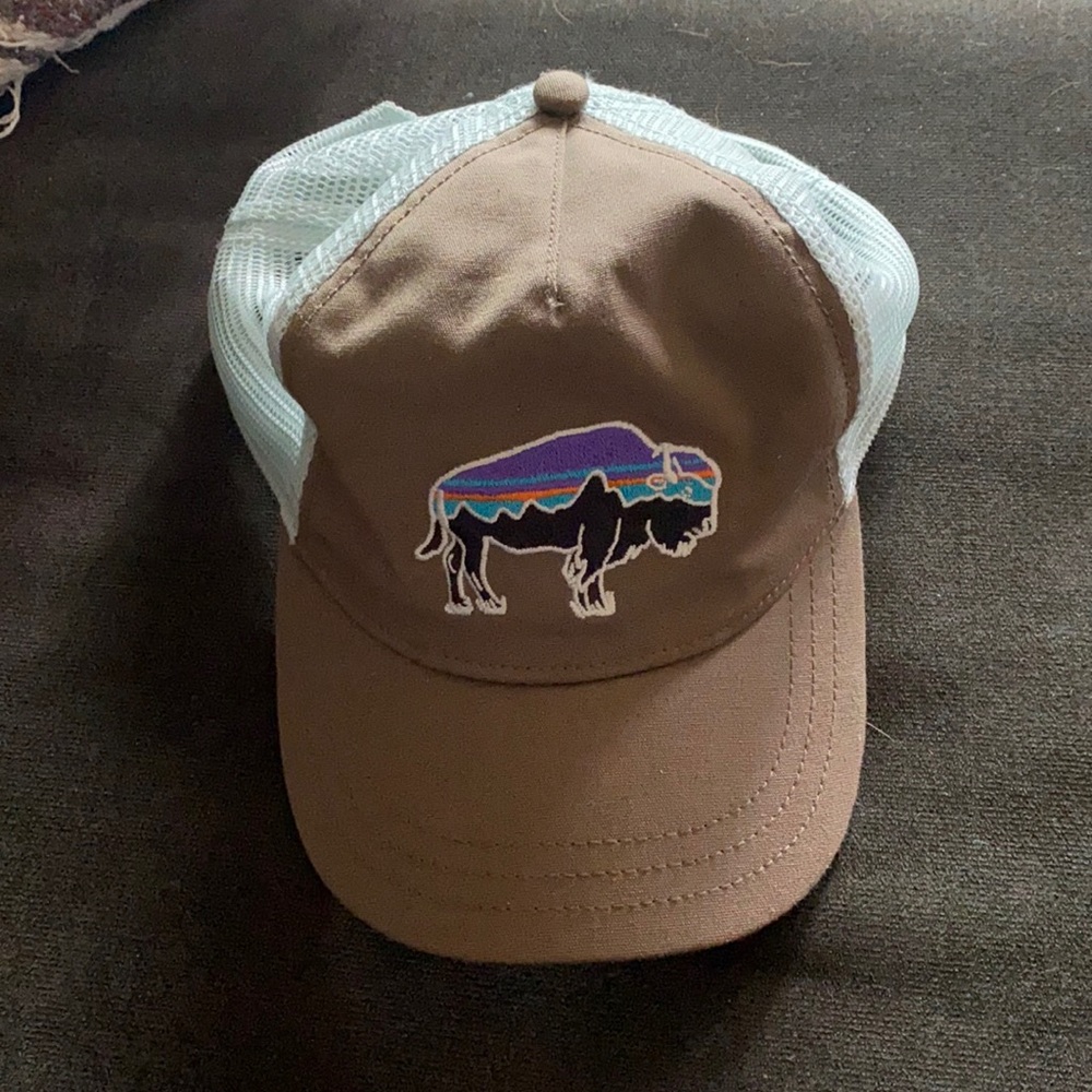 Patagonia Trucker Hat